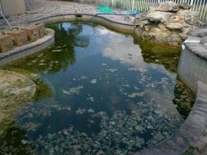 Acid Wash before top company swimming pools contractor OKC 73099. Best builder inground pool install 73099 with cheap affordable prices.